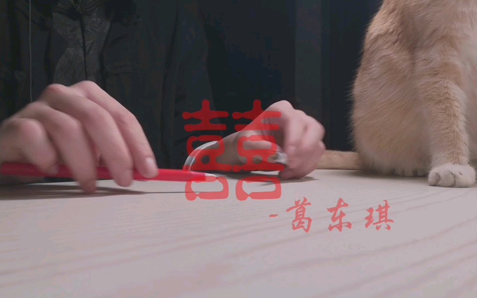 【penbeat】用两支笔敲出的 囍—葛东琪 cover:厌人
