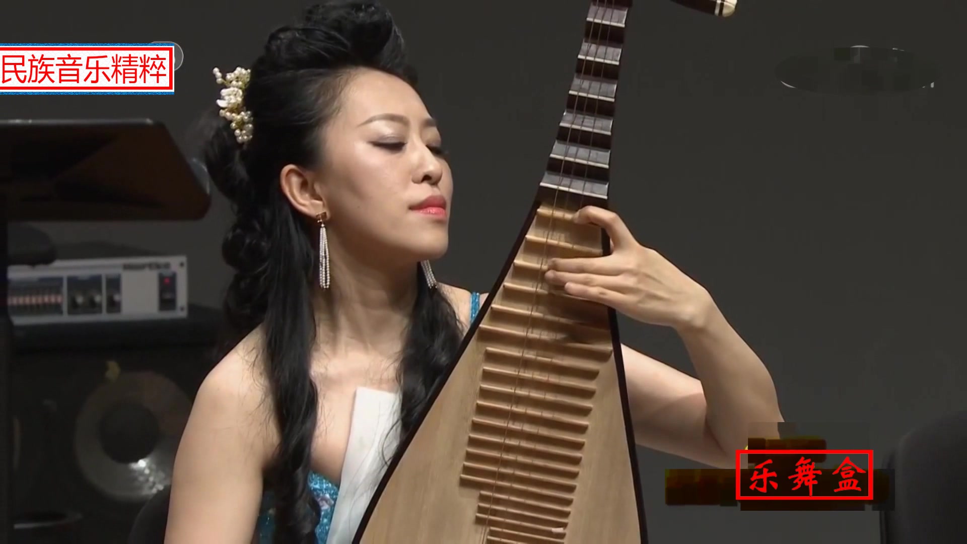 琵琶独奏春江花月夜演奏赵聪