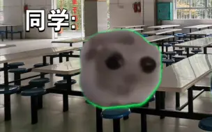 Download Video: 【猫meme】当学校把所有铃声都换成《Cotton Eye Joe》