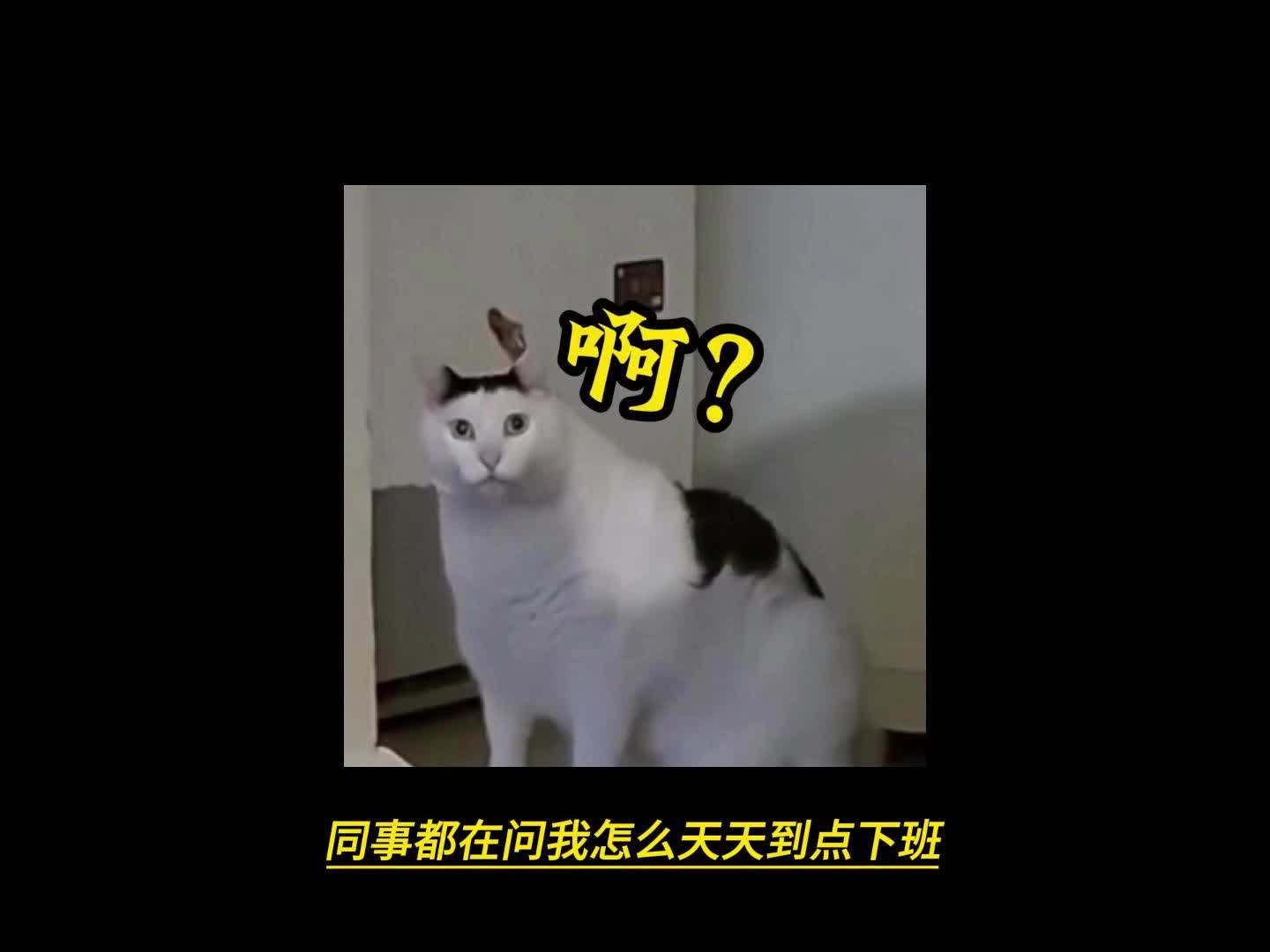 免费用!官方原版ChatGPT 4,4o账号免费用哔哩哔哩bilibili