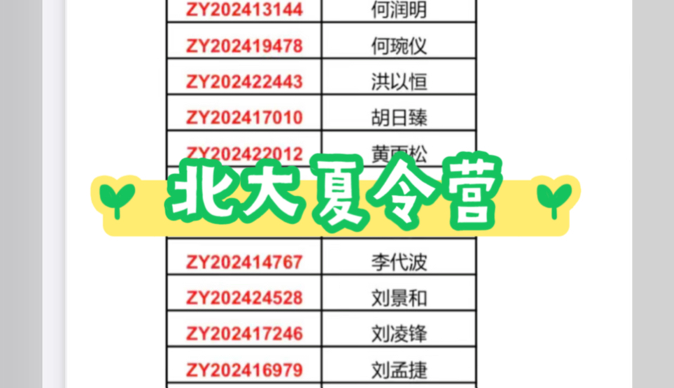 2024年北京大学数学科学学院优秀大学生暑期夏令营优秀营员名单哔哩哔哩bilibili