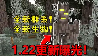 Descargar video: 1.22更新曝光！全新主世界群系和生物来啦！