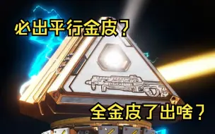 Download Video: 100级专属武器箱！全金皮的情况下会出什么？