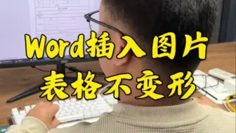 Word插入图片表格不变形
