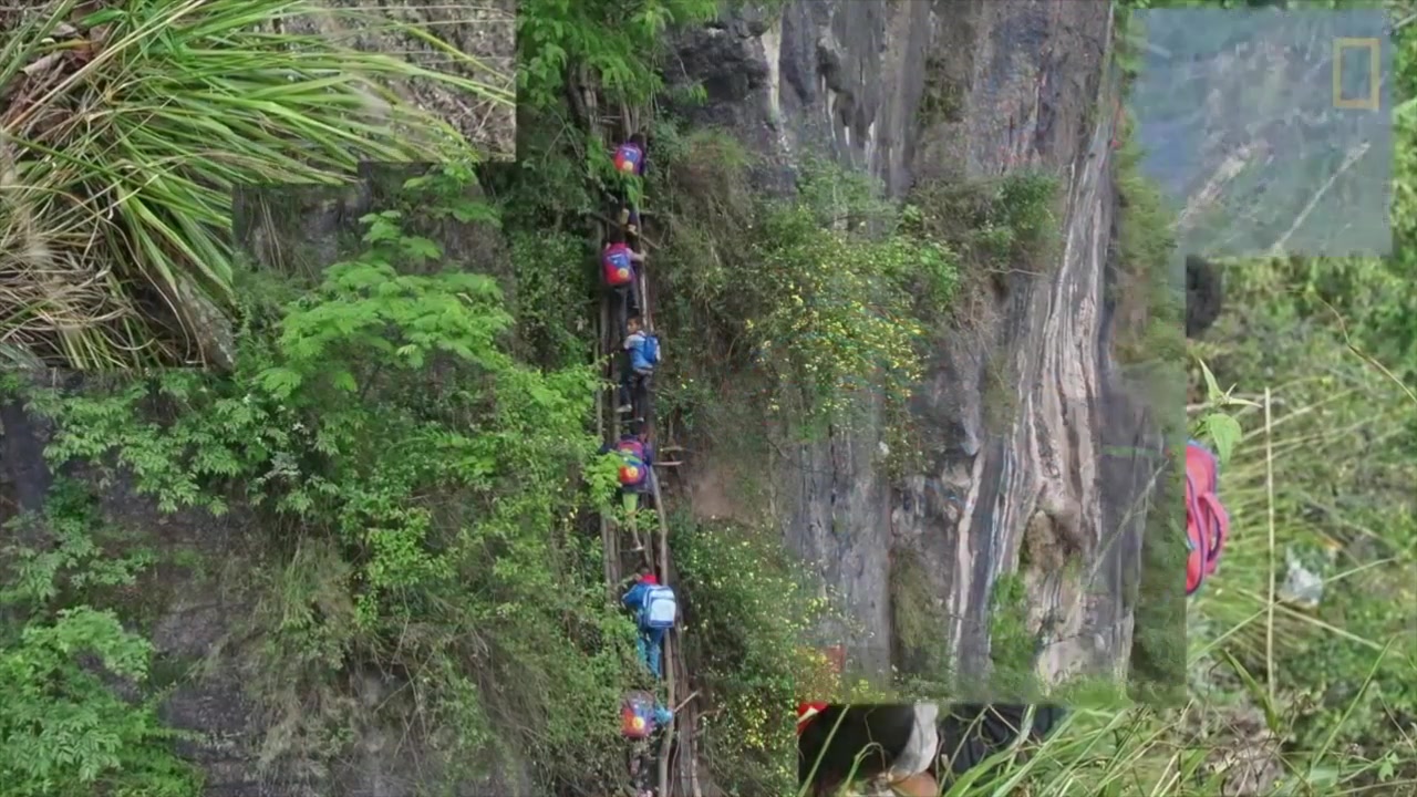 泪流满面,山区里的孩子,为了上学天天爬峭壁