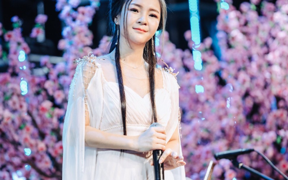 活动作品2017年董真十周年巡演北京站醉梦仙霖