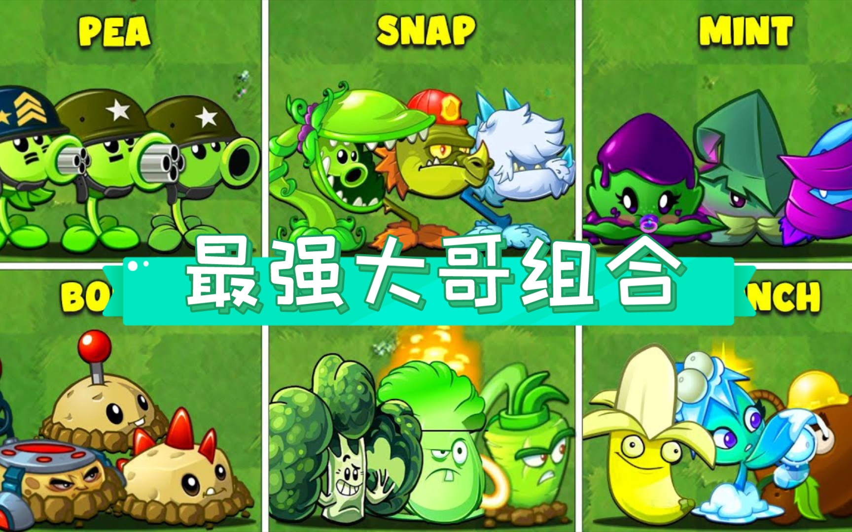 [图]PVZ2 谁才是最强植物组合？