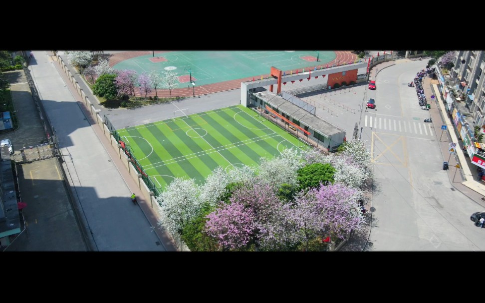 柳州市胜利小学#紫荆花开#_哔哩哔哩_bilibili
