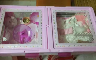 Diy整理箱 搜索结果 哔哩哔哩 Bilibili