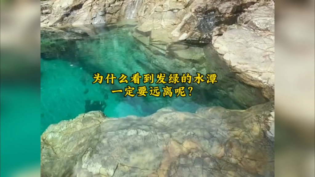 为什么看到发绿的水潭一定要远离呢？