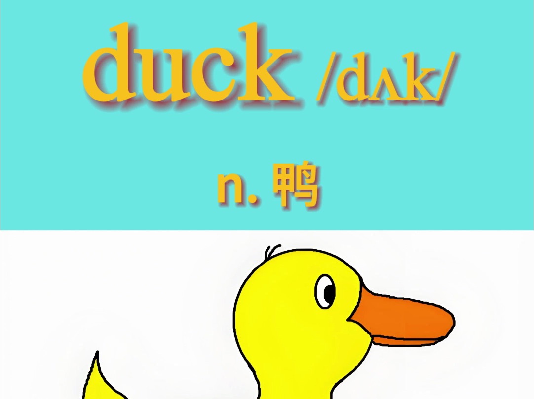 新版人教版三年级上英语单词 unit 5 :duck