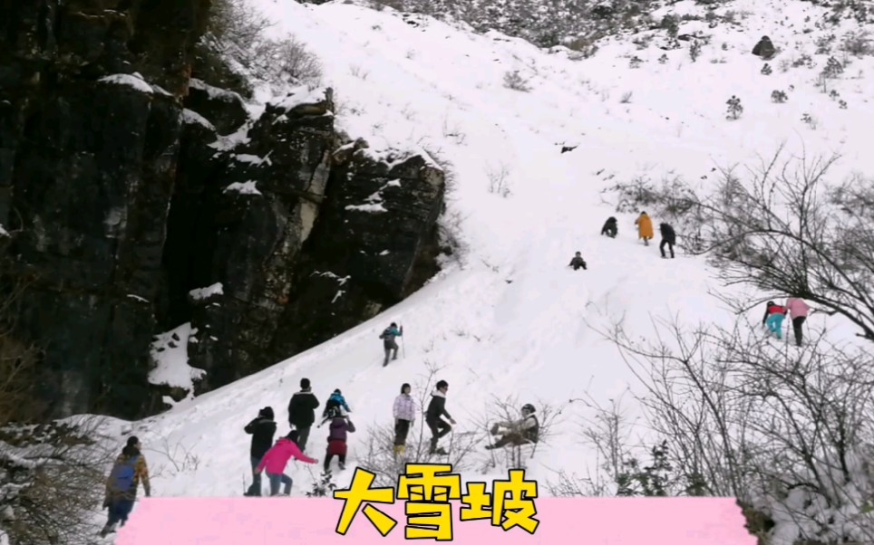 [图]苍山玩儿雪（下）