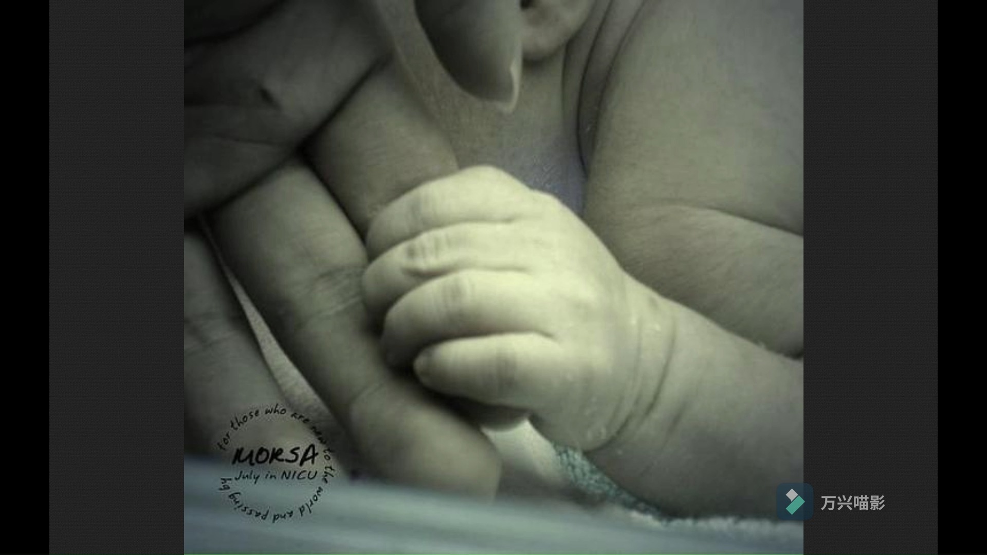【后摇滚】MORSA - July In Nicu(2009)