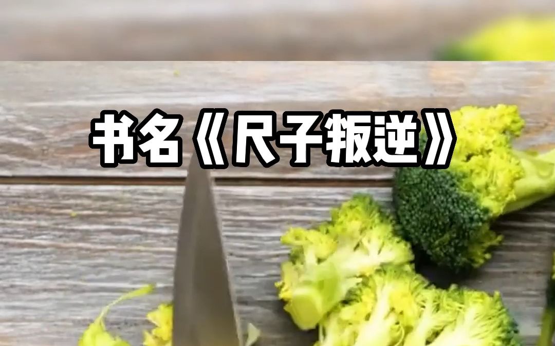 番茄畅听 高分作品《尺子叛逆》哔哩哔哩bilibili