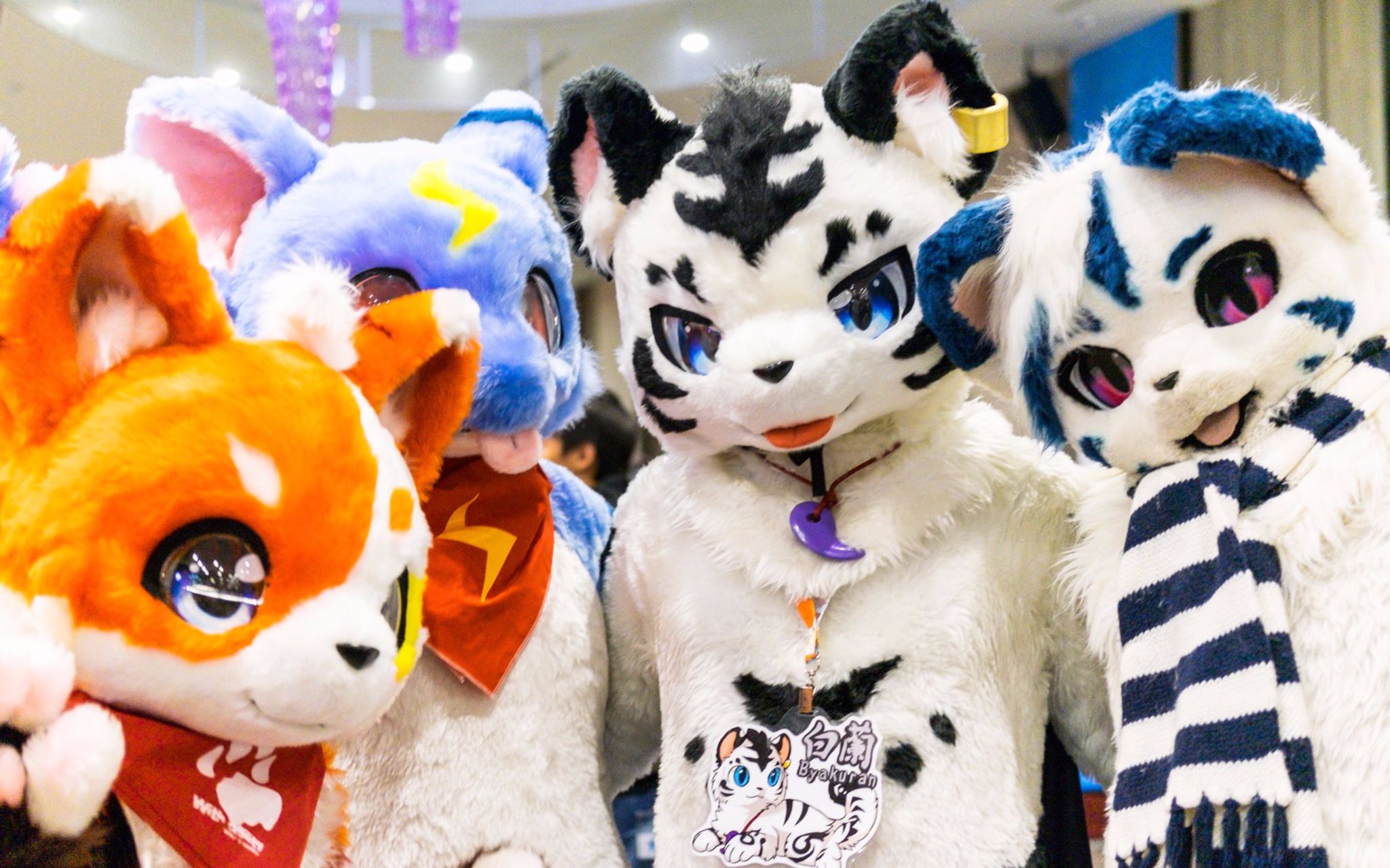 【剪辑】infurnity 2017兽展