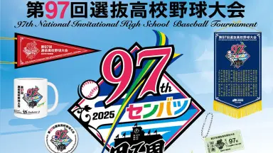 第93回選抜高等学校野球大会-哔哩哔哩_Bilibili