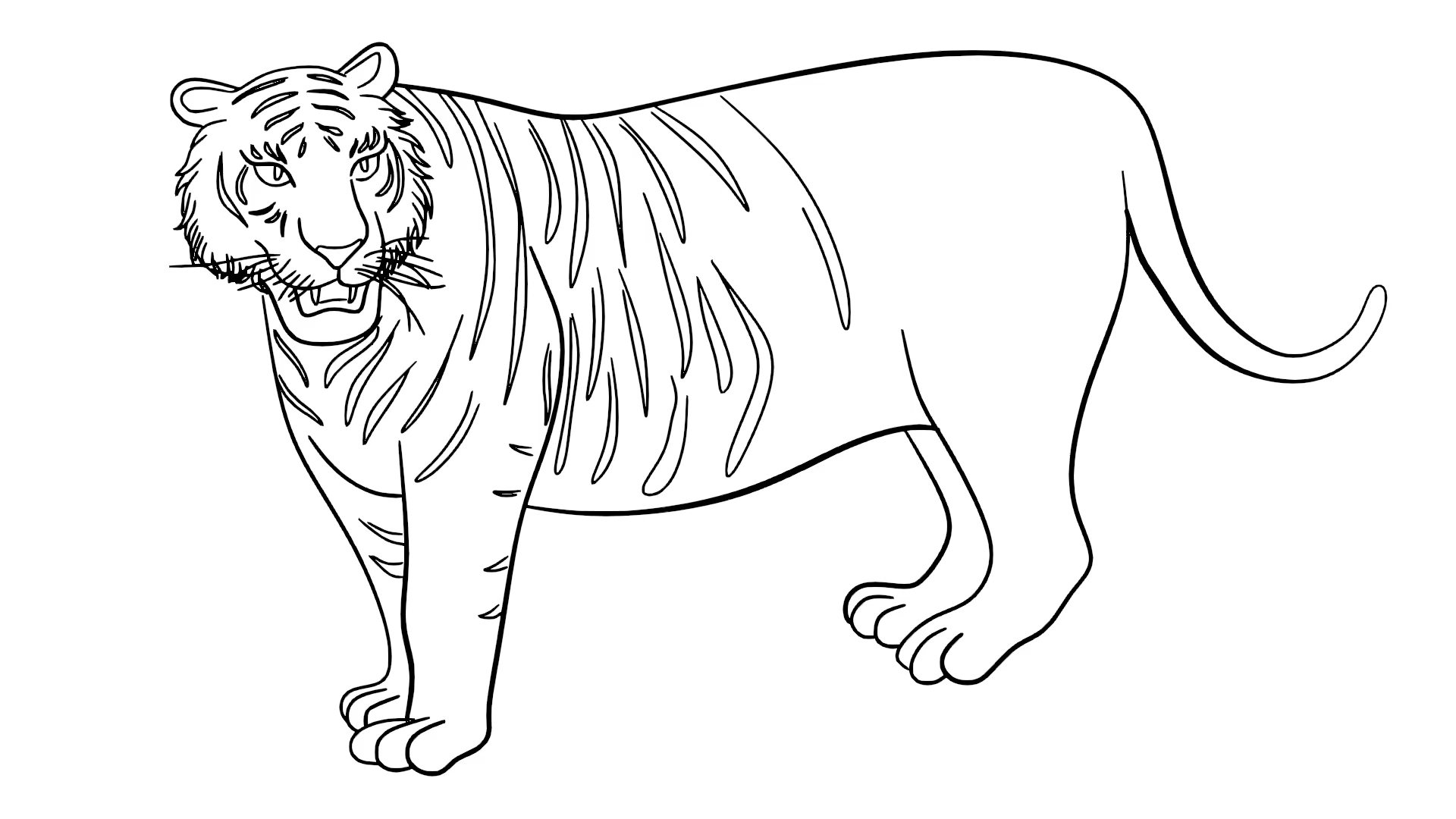 线绘动画:老虎