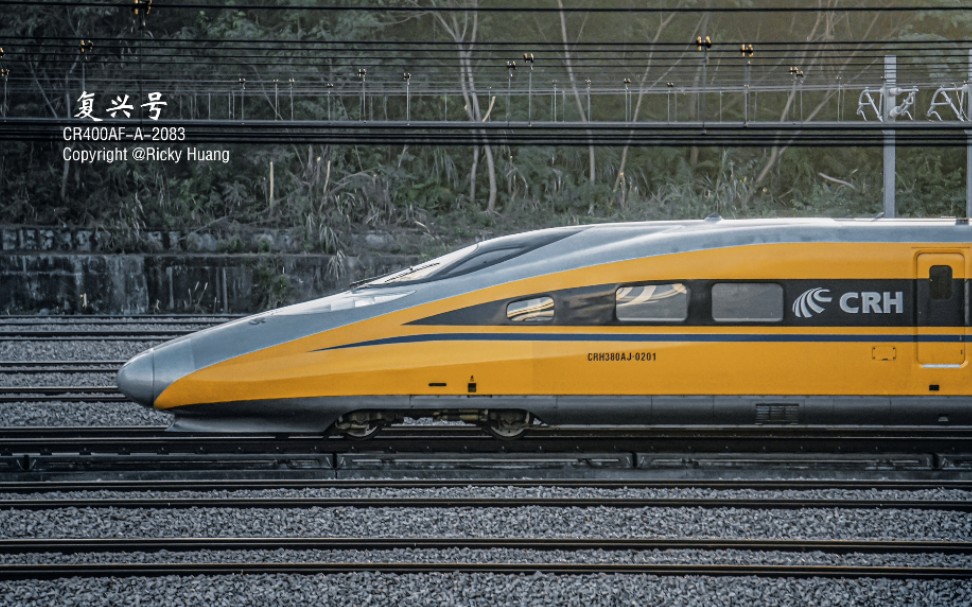 【中国铁路】动检黄医生 crh380aj-0201 担当广深港月检深圳北站11道