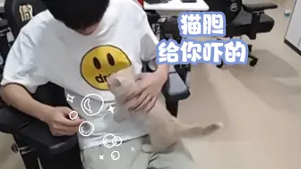 Télécharger la video: 清清你怎么连小猫都惹！甜甜生气后小马秒怂