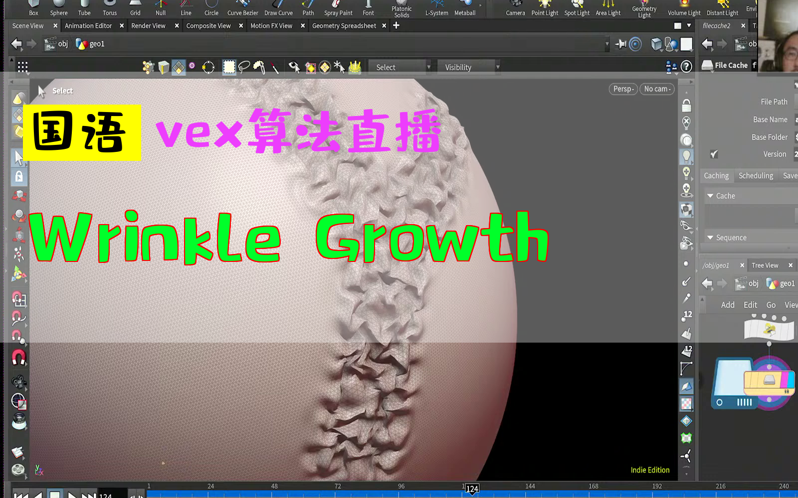 houdini教程中文Wrinkle Growthvex算法直播粒子特效特效hudinihudinin胡迪尼新功能国语哔哩哔哩bilibili