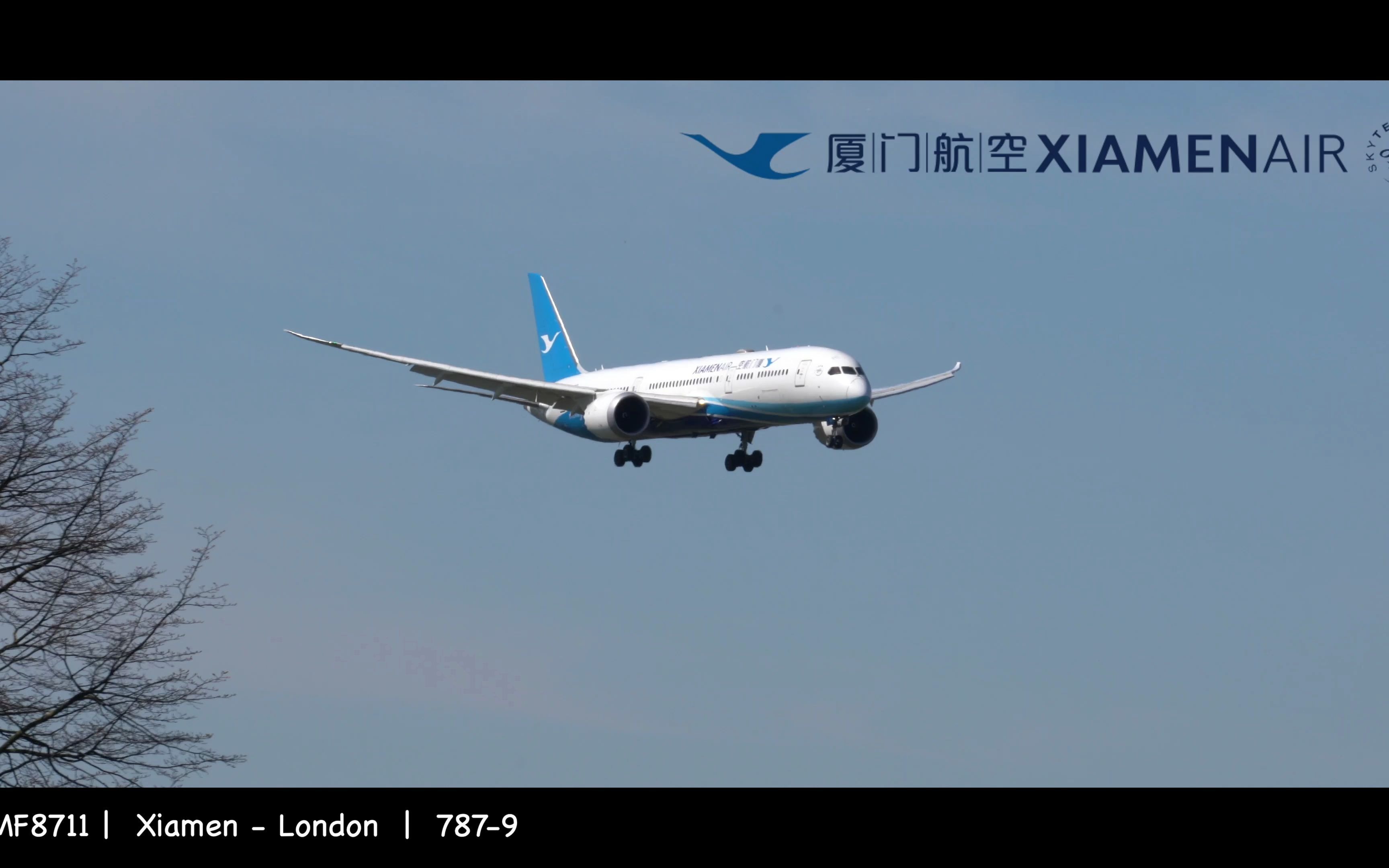 【4K】伦敦希思罗拍机 London Heathrow 09R 787 A350哔哩哔哩bilibili