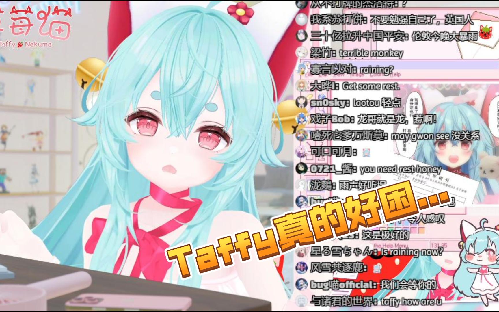 【草莓猫Taffy】大病初愈的草莓猫直播睡着了哔哩哔哩bilibili