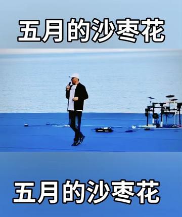 赛里木湖畔《五月的沙枣花》9797979715979715