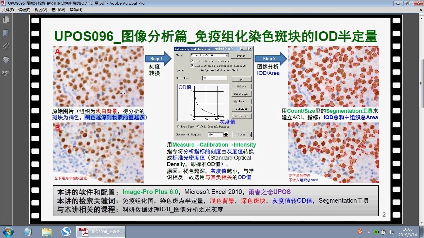 UPOS096图像分析篇免疫组化染色斑块的IOD半定量哔哩哔哩bilibili