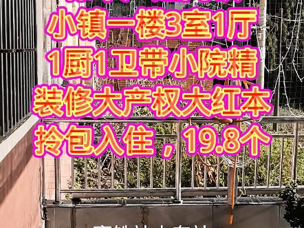 云南小镇楚雄禄丰广通高铁小镇一楼3室1厅1厨1卫带小院精装修大产权大红本拎包入住,19.8个哔哩哔哩bilibili