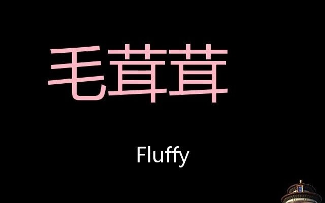 毛茸茸 Chinese Pronunciation fluffy哔哩哔哩bilibili