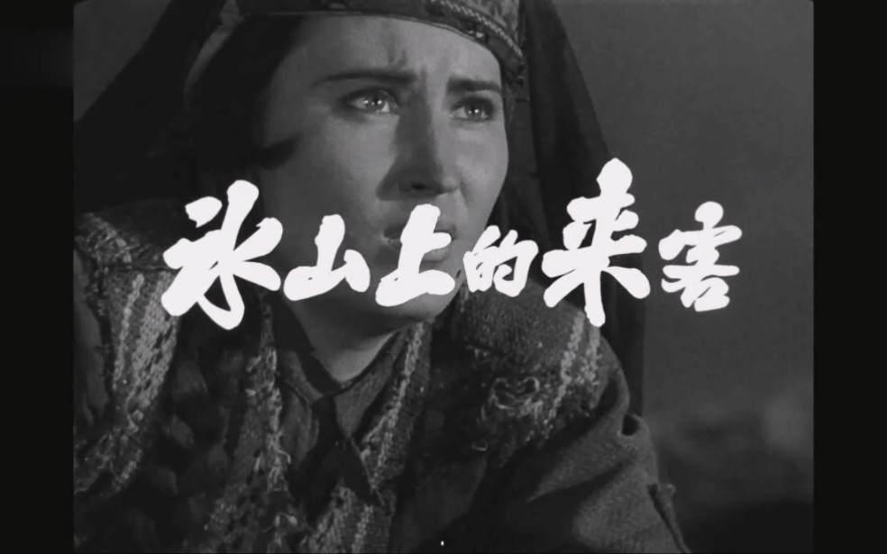 花儿为什么这样红