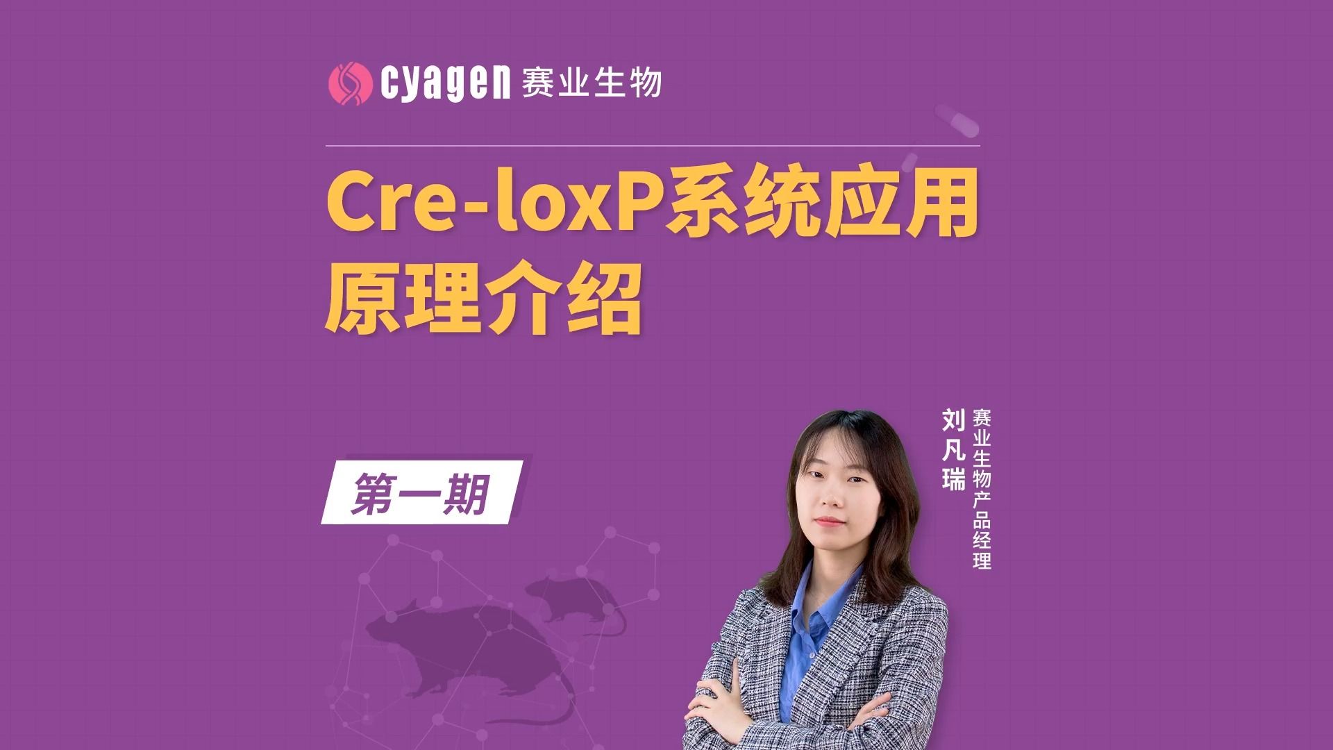 干货满满,建议收藏|CreloxP系统的原理解析到应用介绍哔哩哔哩bilibili