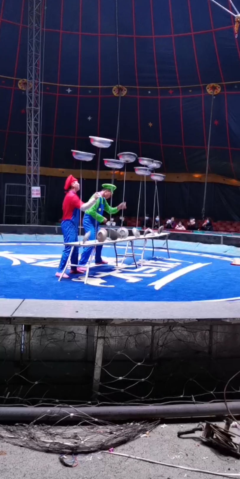 津南吾悦 吴桥马戏表演