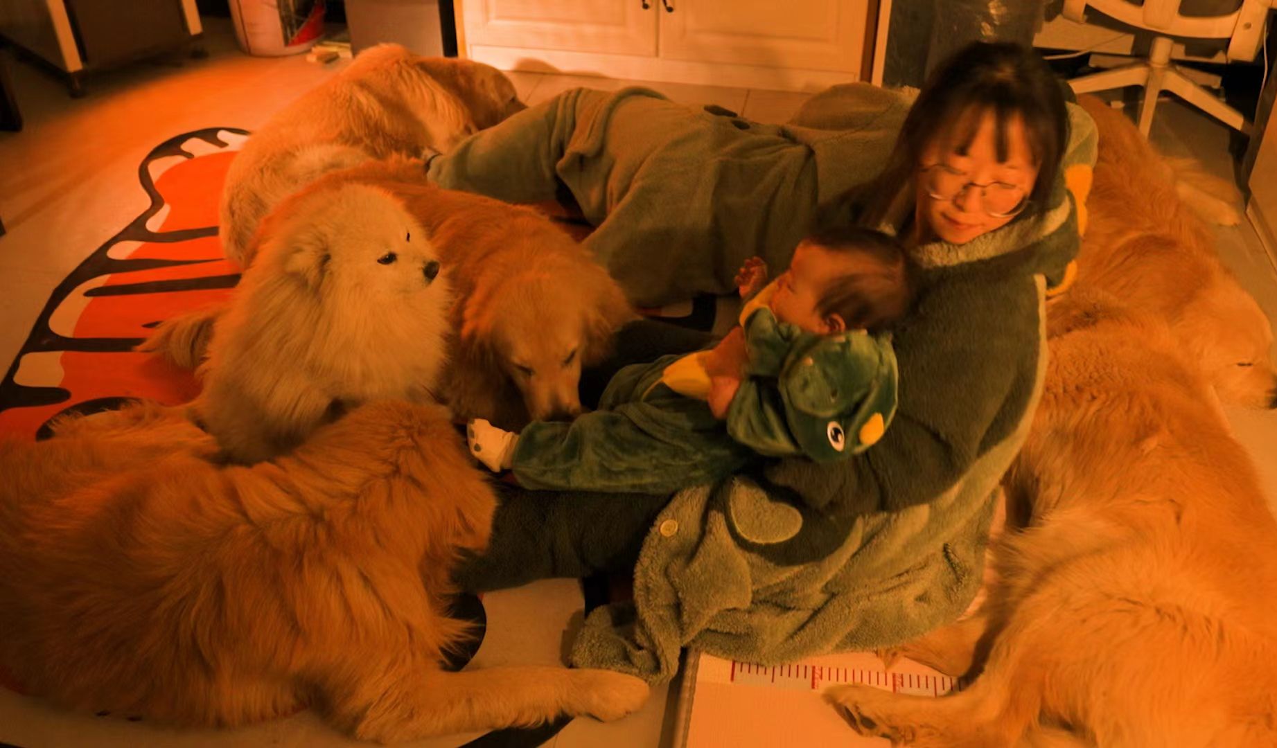 冬天取暖，不靠抖，靠狗！没有一粒狗粮是白吃的