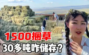 Descargar video: 实拍新疆牧区打草大场面：1500捆草堆成山，几百头牛羊马够吃1冬天