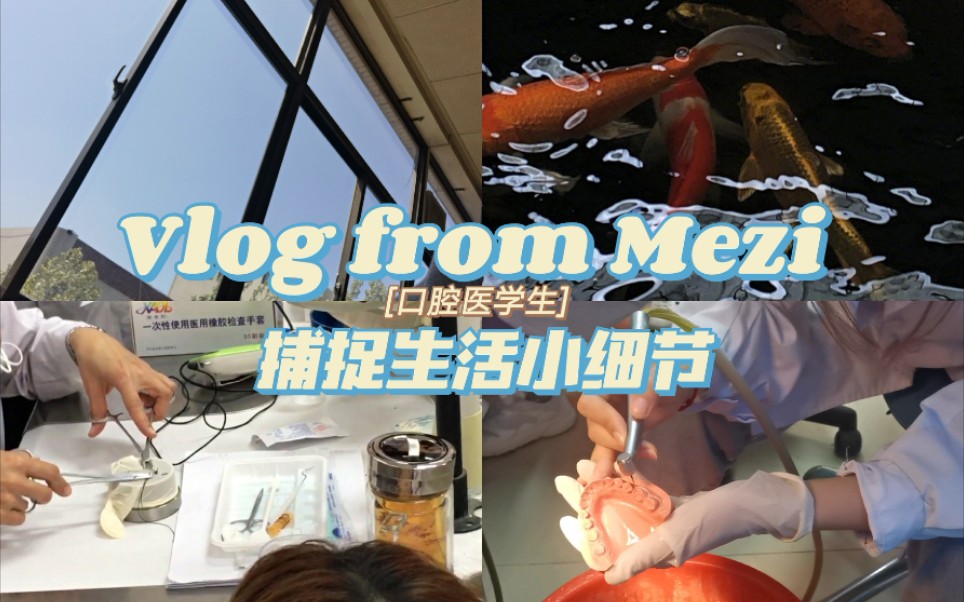 【Vlog from Mezi】捕捉生活小细节/口腔医学生/制备肩台/济南千佛山哔哩哔哩bilibili