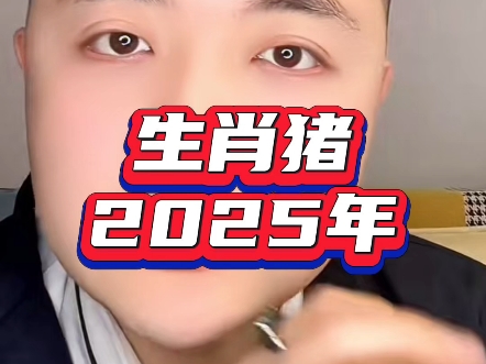生肖猪2025的运势运程(生肖猪2025的运势运程如何)