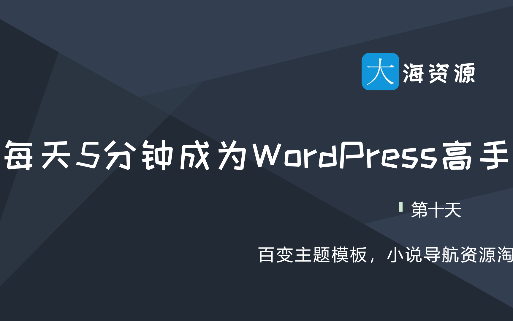 【每天5分钟成为wordpress高手】10.想建导航站淘客站小说站,百变的wp主题满足你的建站需求哔哩哔哩bilibili