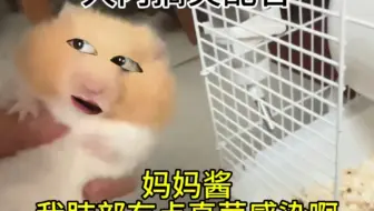 妈妈酱，我肺部有点真菌感染啊