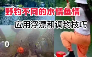 野钓面对不同的水情鱼情，选择浮漂和调钓技巧