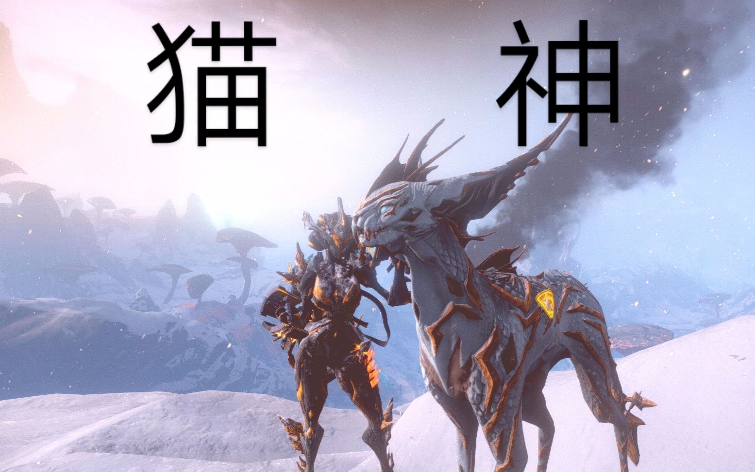 【星际战甲warframe】最强狯犽维纳利:什么叫暴击猫呀?