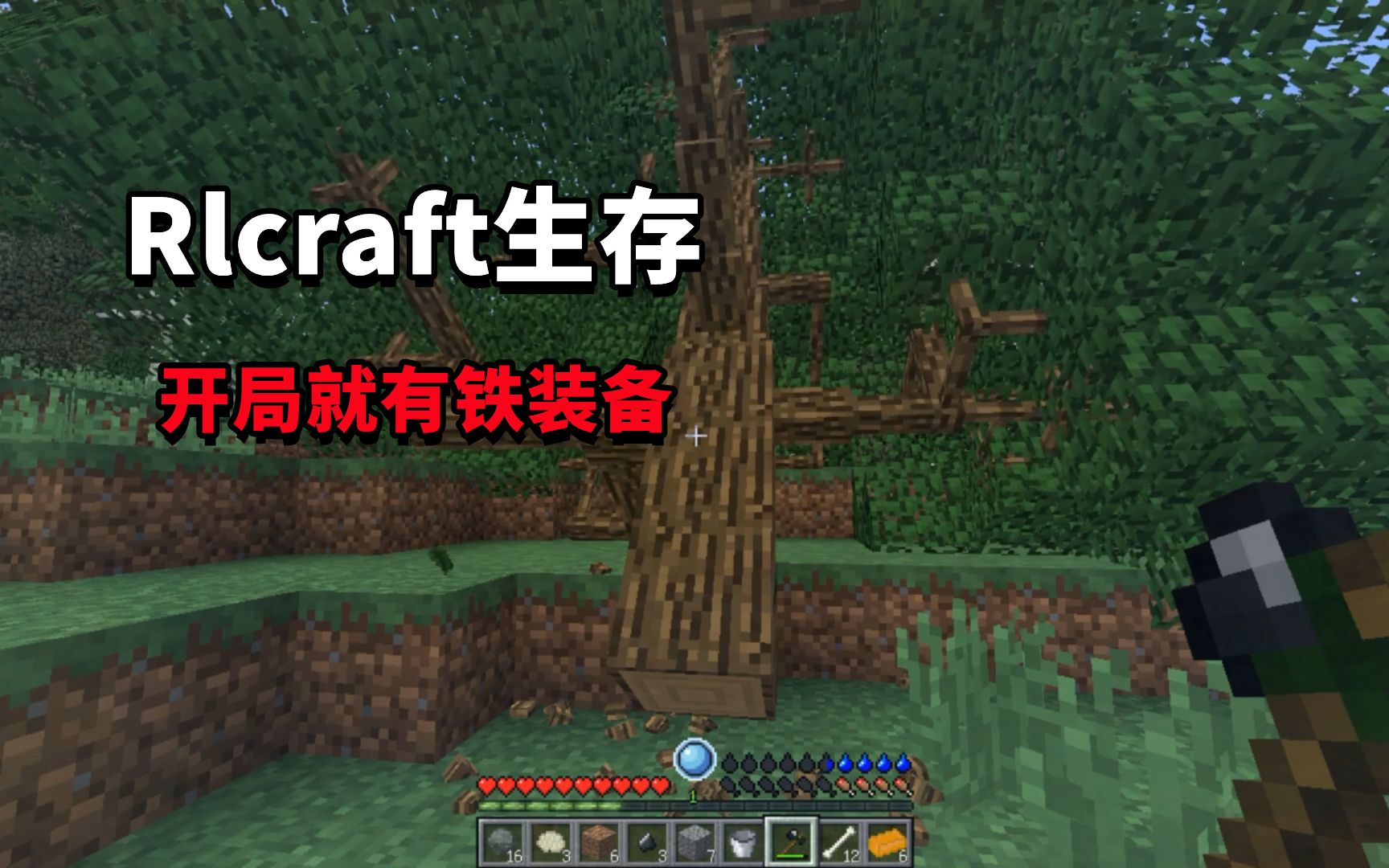 [图]Rlcraft生存01：开局就有铁装备，但是只能看着用不了