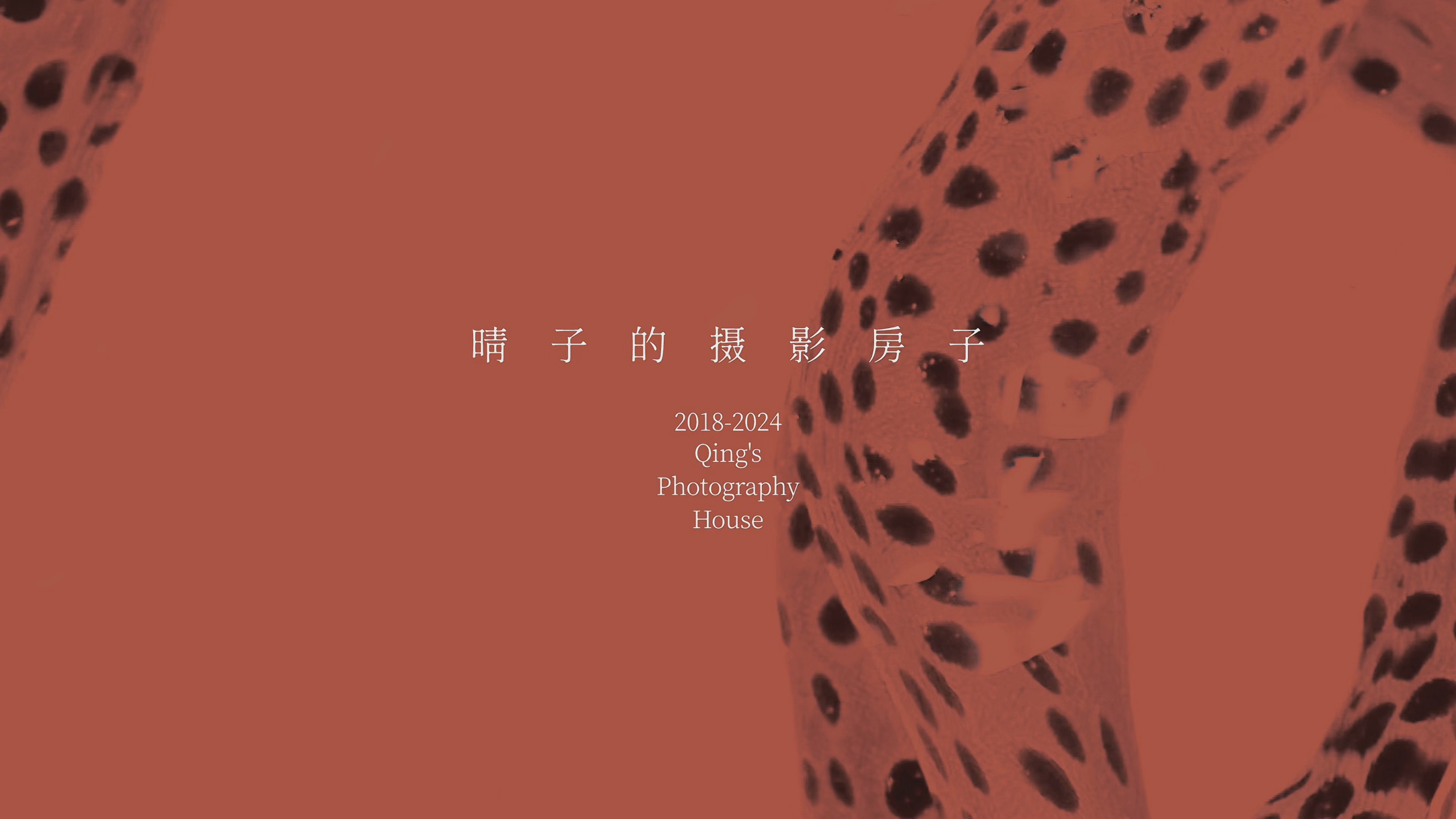 晴子作品|摄影作品书籍装帧设计