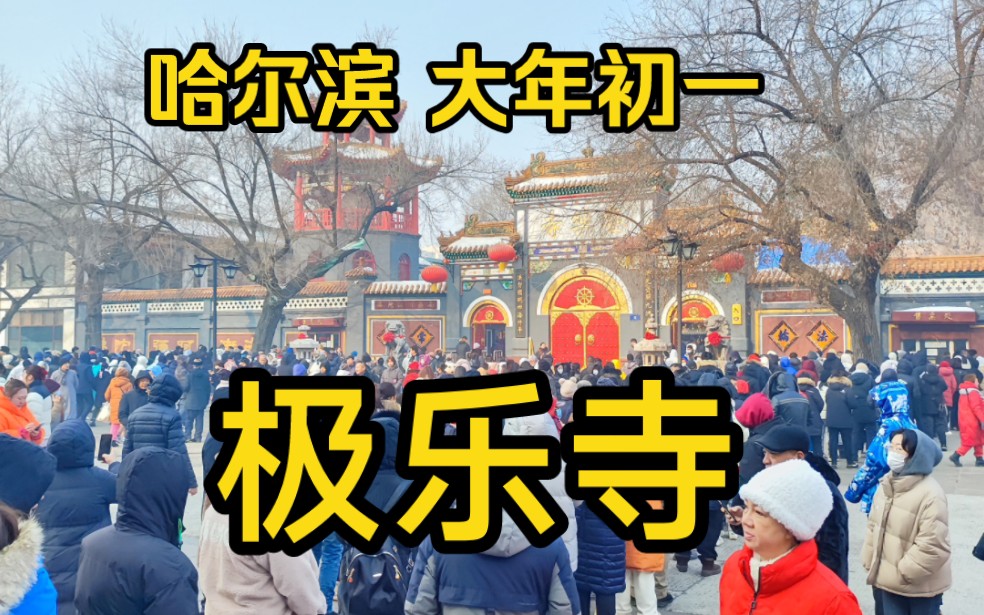 哈尔滨,大年初一,极乐寺哔哩哔哩bilibili