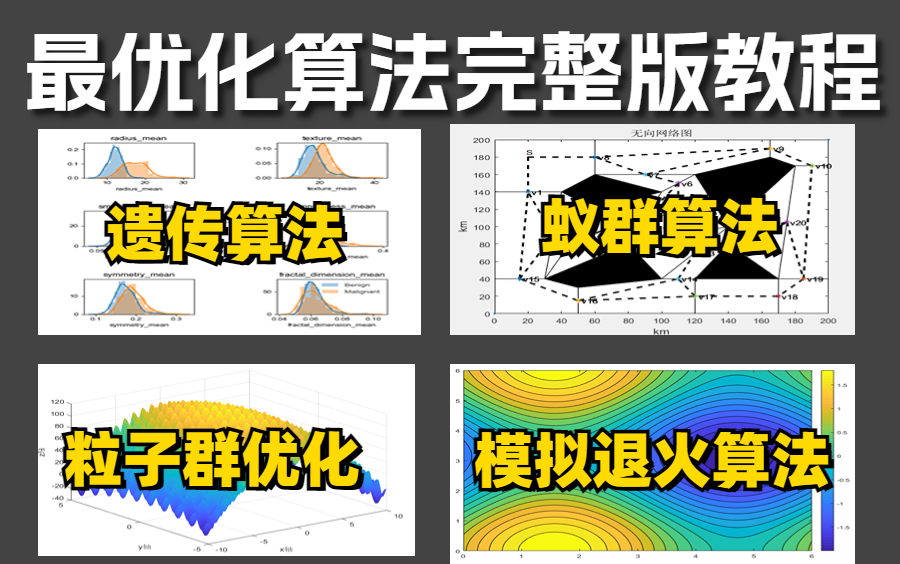 【最优化算法完整版教程】一次性讲完遗传算法、蚁群算法、模拟退火算法、粒子群优化!不愧是中科大教授!3小时让我清楚了凸优化——人工智能|AI|机器...