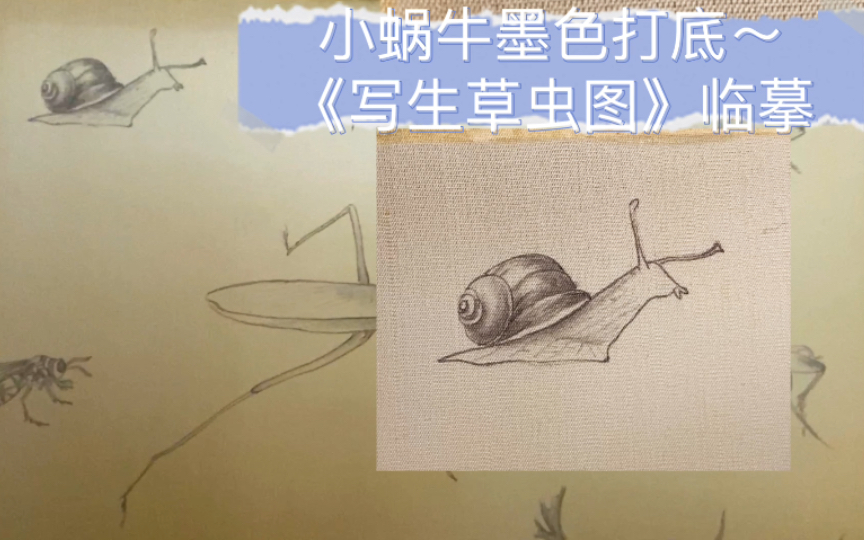 [图]【零基础工笔画】宋人工笔画《写生草虫图》临摹 ～小蜗牛墨色打底