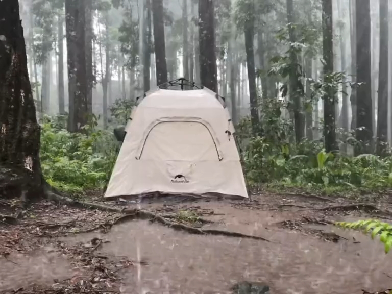 [图]暴雨夜独自一人在原始森林里露营。#沉浸式露营 #雨中露营