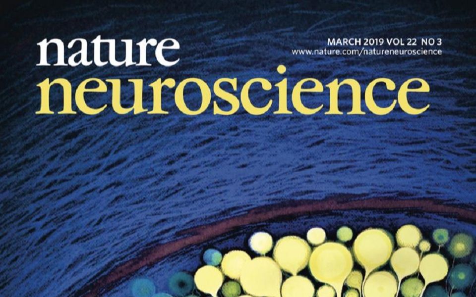 [图]【Nature's call系列】 Nature Neuroscience