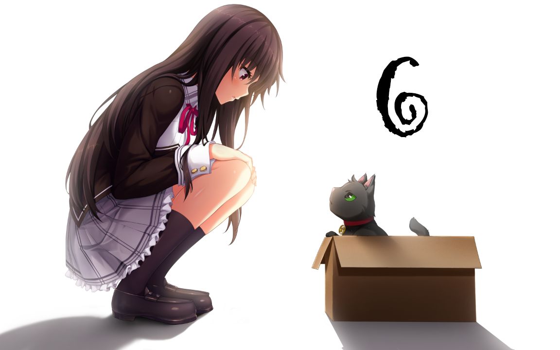 【ノラと皇女と野良猫ハート】野良与皇女与流浪猫之心未知线(6)