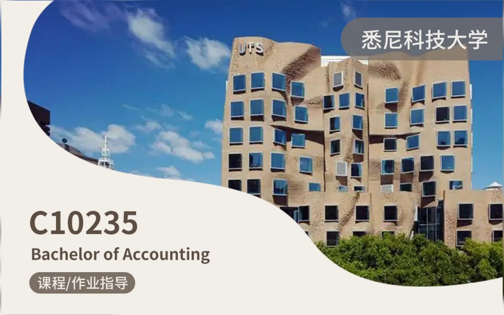 澳洲悉尼科技大学UTS本科C10235Accounting会计学专业课程,作业,考试,论文,申诉辅导哔哩哔哩bilibili